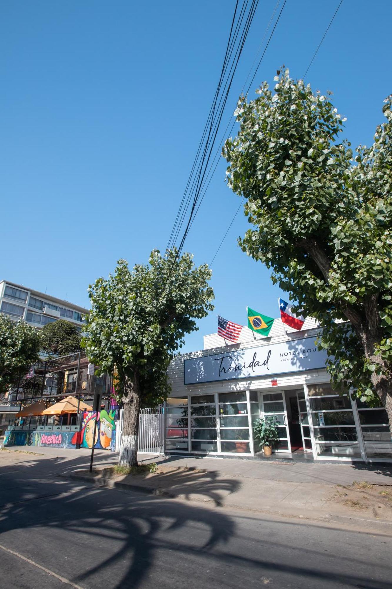 Hotel Boutique Trinidad Vina del Mar Eksteriør billede